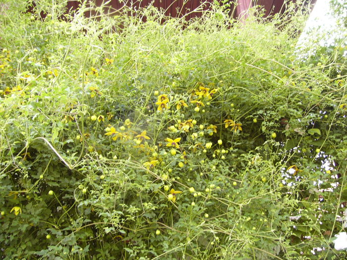 P1280589