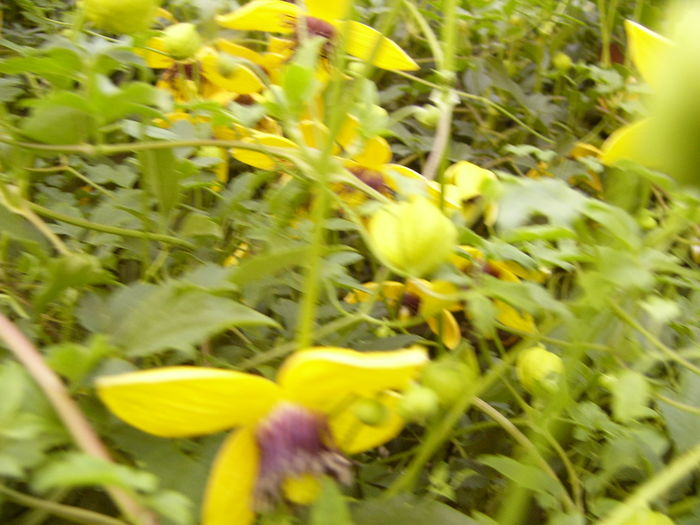P1280594