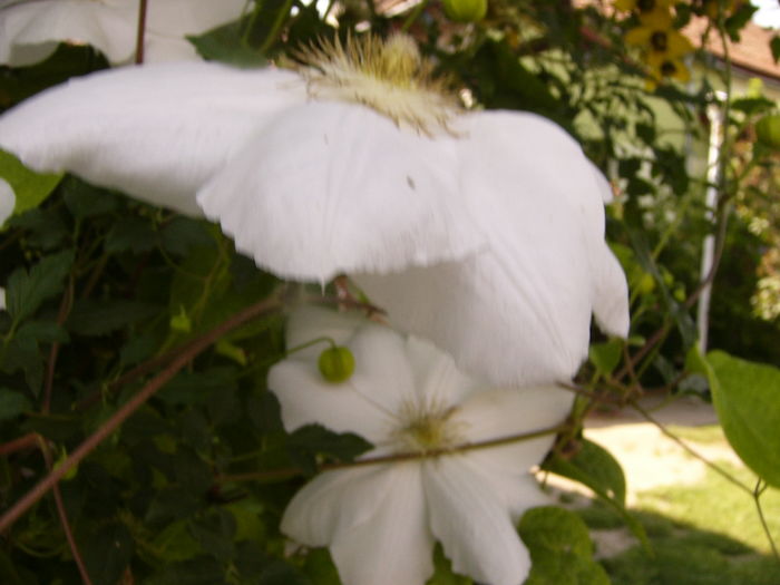 P1280597