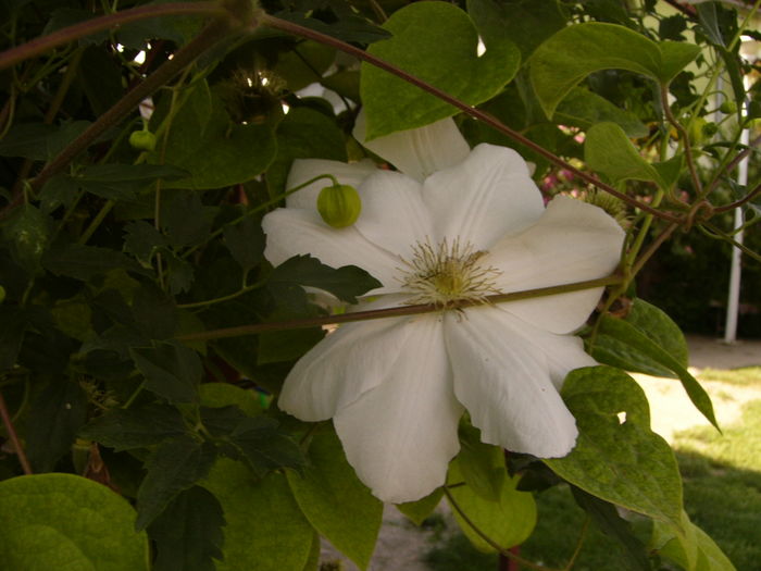 P1280598