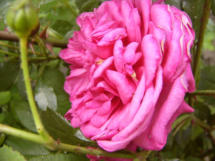 P1280600
