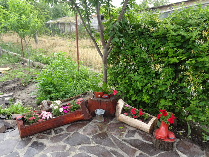 DSC01257