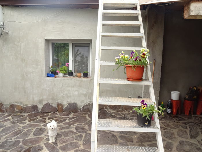 DSC01258