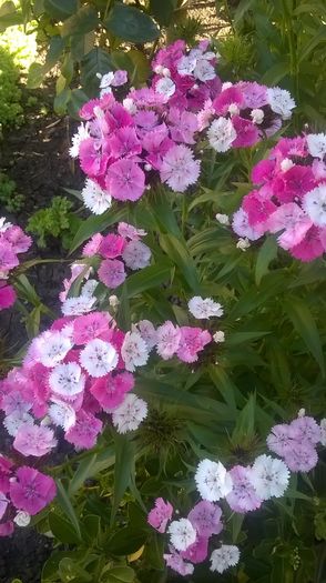 WP_20160529_08_46_20_Pro