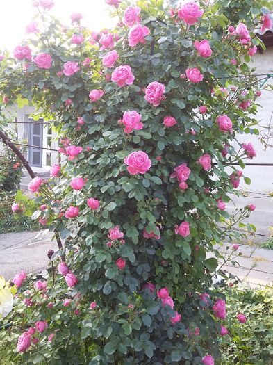 20160527_184000