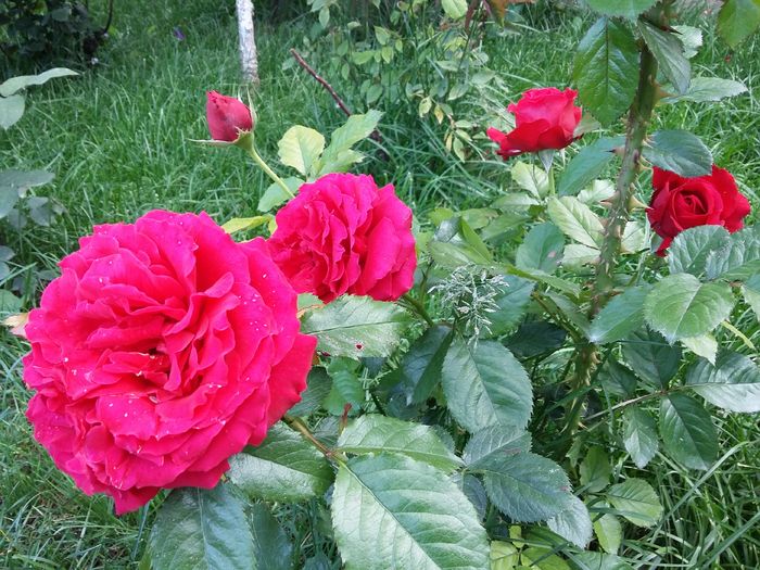 20160527_185234
