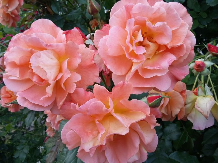 20160527_185627