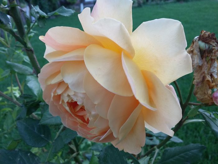 20160527_190239