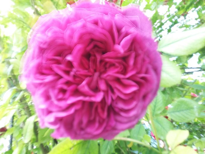 20160527_190913