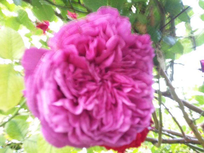 20160527_190924