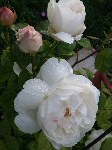 20160528_195813