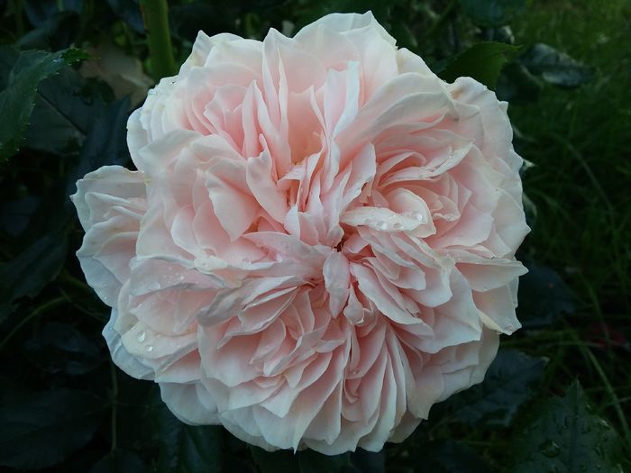 20160528_200024