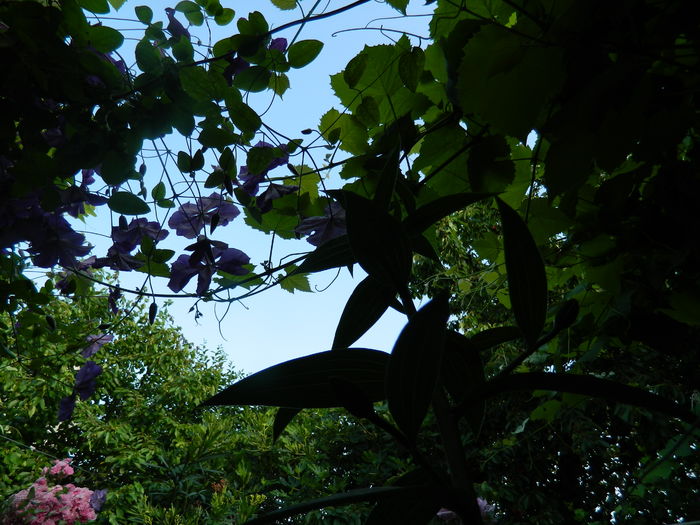 DSCN0724