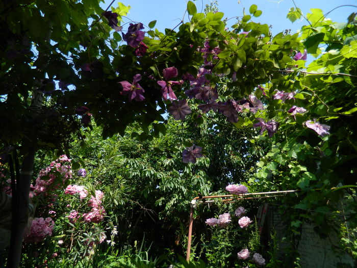DSCN0753