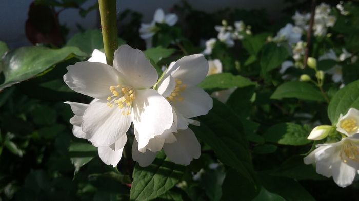 035