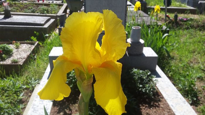 043
