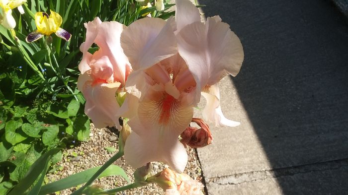 045