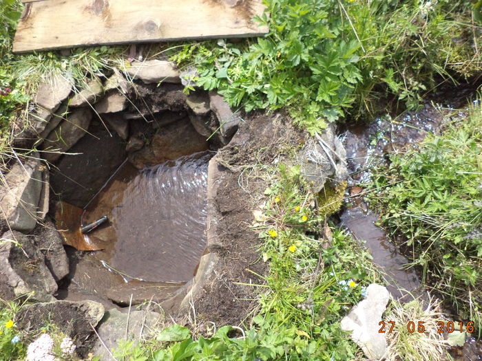 Izvorul la un km de stana