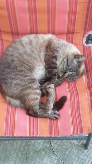 283 - Amy_Bell_Felix