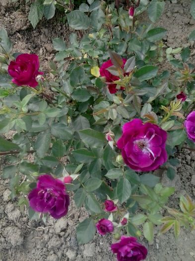 20160530_182800