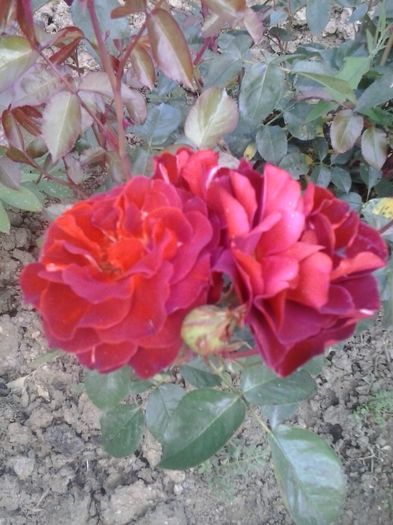 20160530_182938