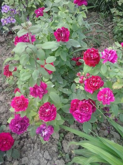 20160530_183011