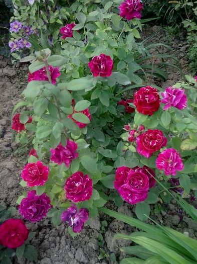 20160530_183016