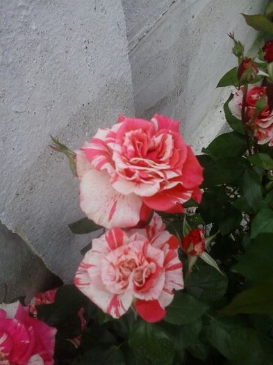 20160530_183151