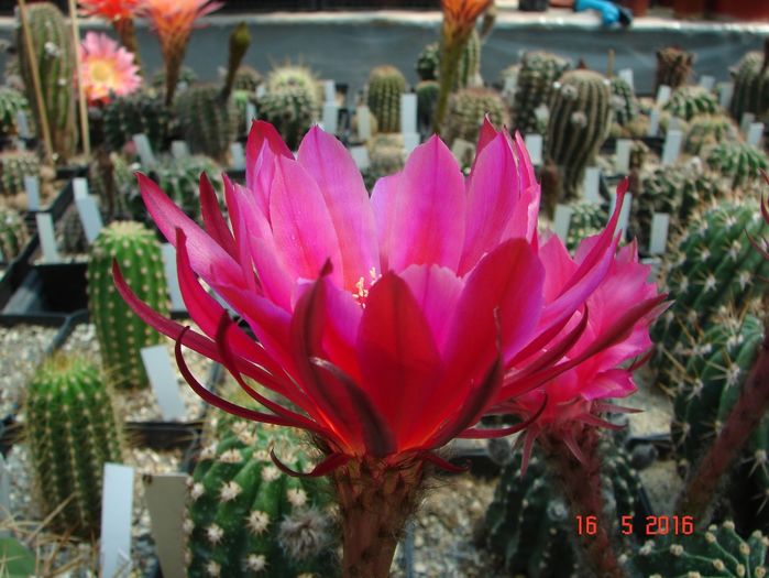 DSC09640