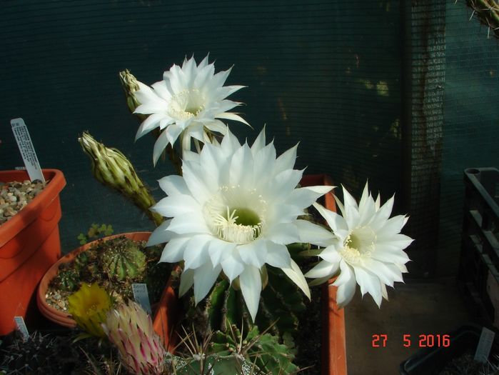 DSC09759