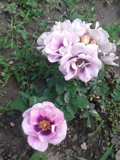 20160528_135227