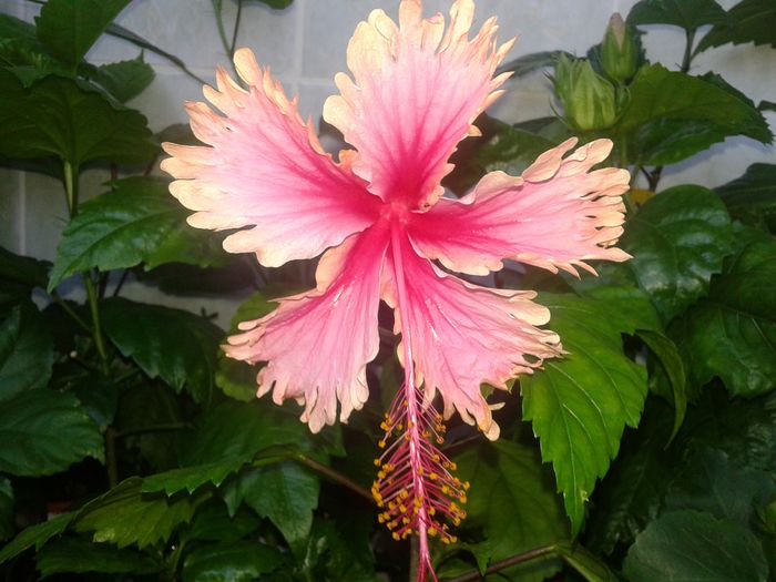 20160531_153707