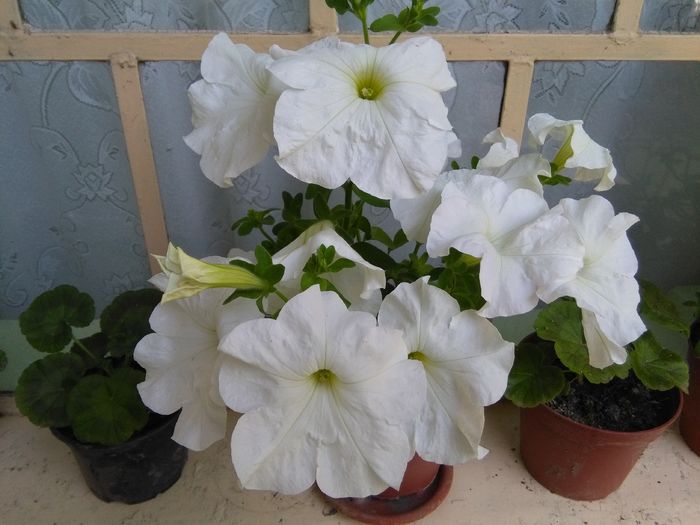 1464702199930-2061468806