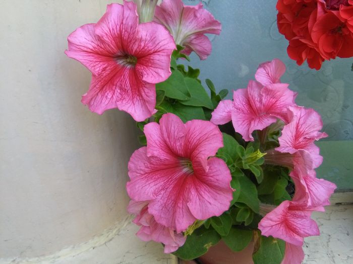 14647022494581664302333