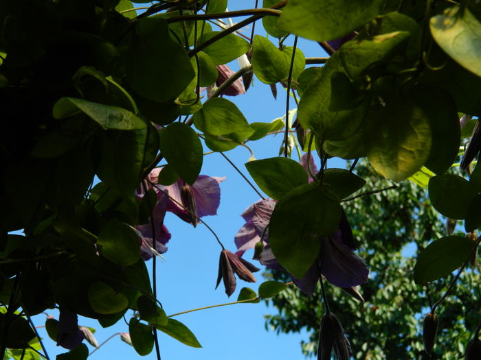 DSCN0331