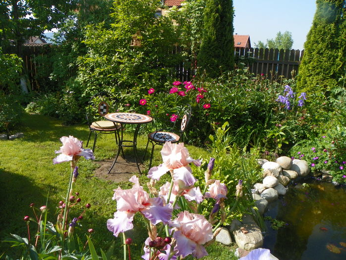 31 mai (120)