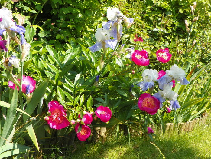 31 mai (139)