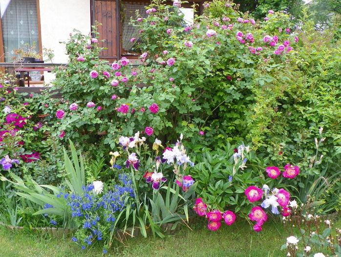 31 mai (178)