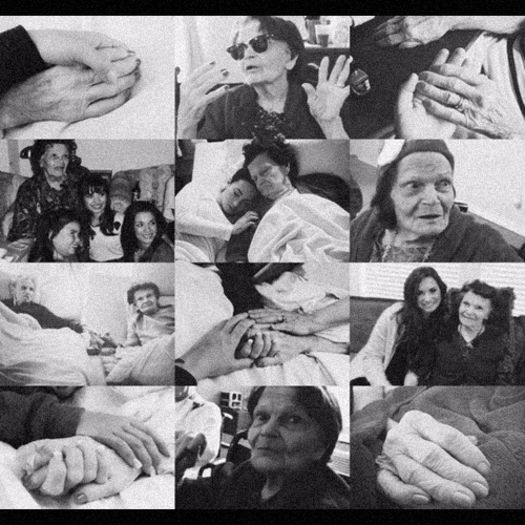 ◤WORLD◢　　┋ 31 ᗰᗩI 2016 ♡