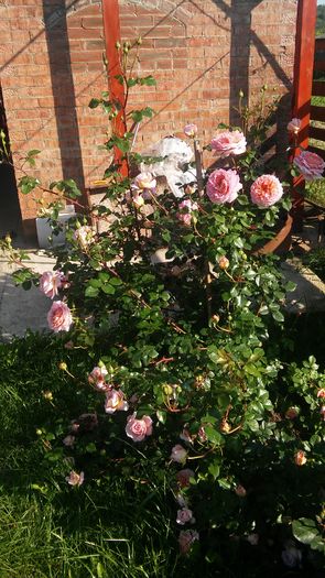 395 - engl Abraham darby