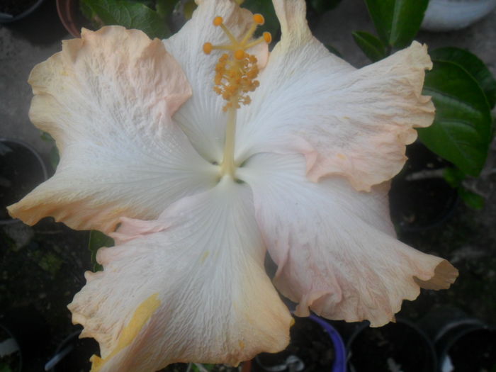 035