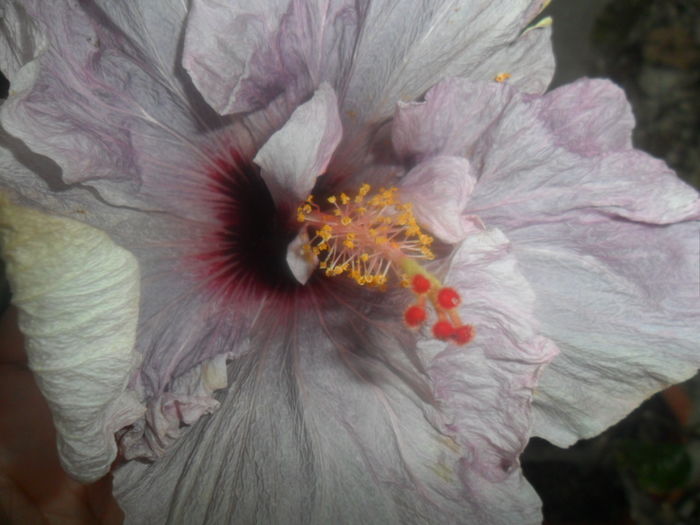 041