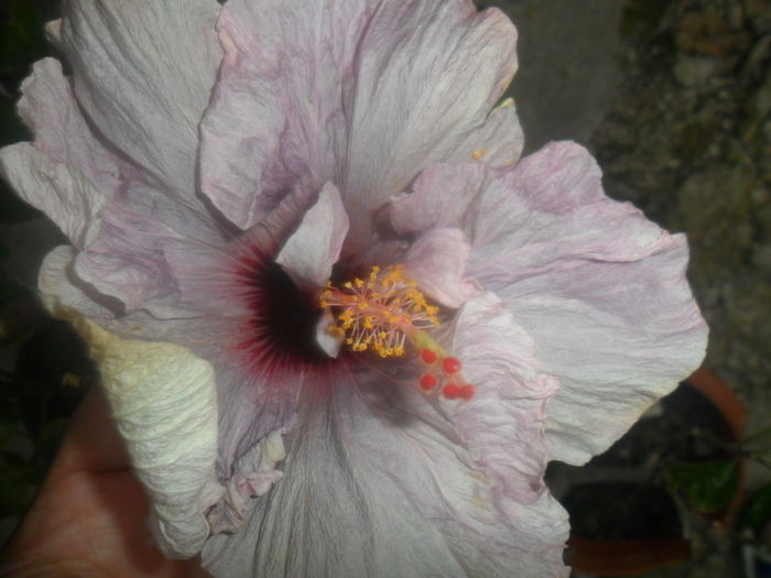 042