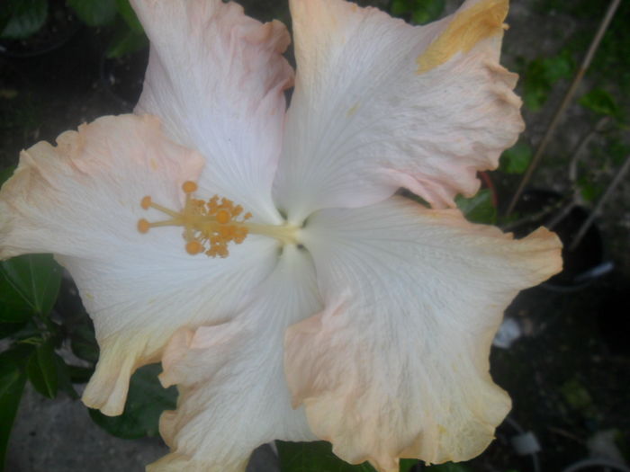 044