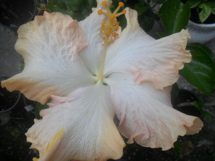 049