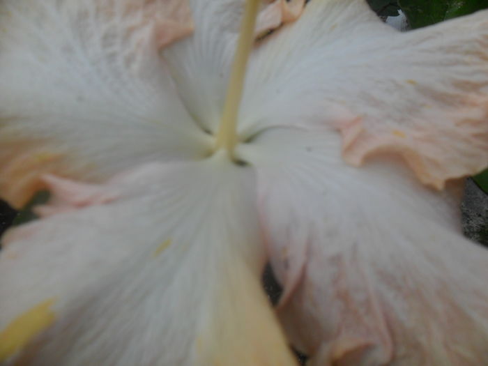 051