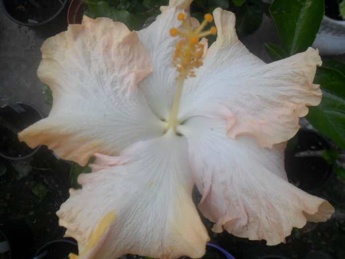 052