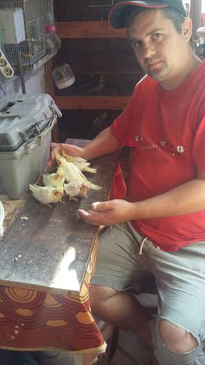 13307381_1195137577197570_6790844810313566395_n