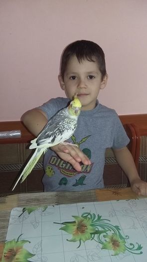 1480491_1154824551228873_4890036261261207516_n