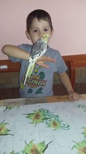 12932767_1154824547895540_4036638899313480813_n (1)